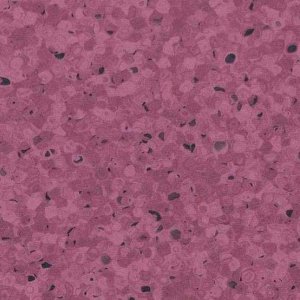0331 PLUM