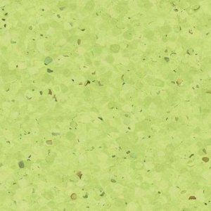 0338 KIWI