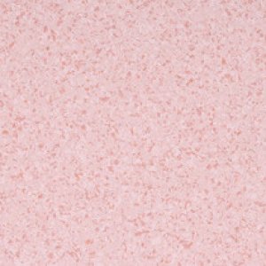 4481 - Rosaspina