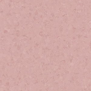 eclipse-peremium-21020781