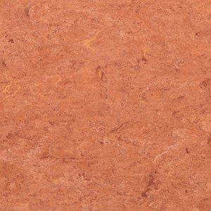 linoleum-40