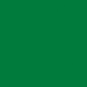 sport-court-power-game-0014-green